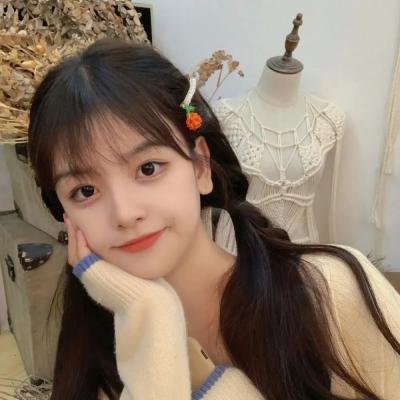 模型姐妹